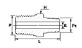 Hex Reducing Nipple GNR